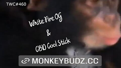White Fire OG & CBD Cool Stick TWC#460