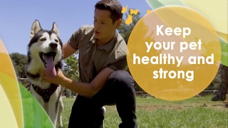 Keep your pet healthy and strong