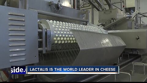 Lactalis Cheese Plant looking for new talent