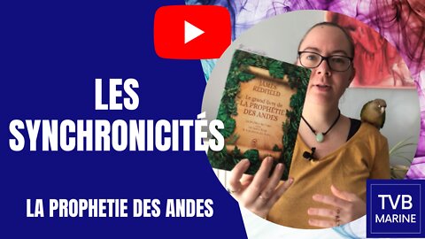 Les synchronicités (La Prophétie des Andes)