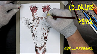 ASMR Coloring Animals - Giraffe