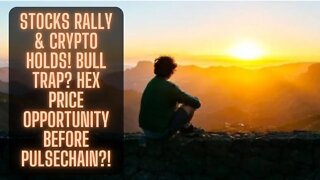 Stocks Rally & Crypto Holds! Bull Trap? Hex Price Opportunity Before Pulsechain?!