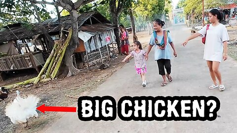 Philippines Lifestyle - We Saw a Pregnant Chicken and a Big Shark On Our Nightly Walk?