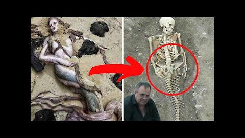 Top 3 REAL LIFE MERMAIDS THAT ACTUALLY EXISTS