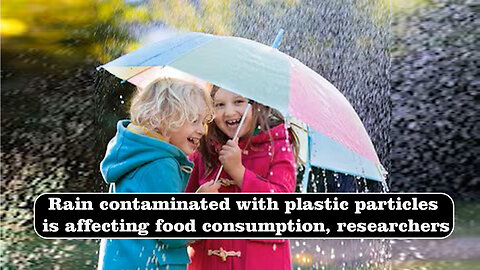Rain contaminated plastic particles is affecting food consumption, researchers@InterestingStranger