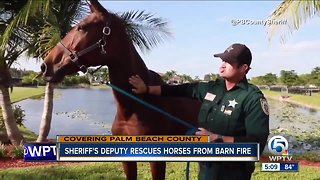 Sheriff's deputy rescues horses from barn fire