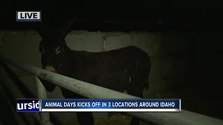 Animal Days kicks off in three locations around Idaho