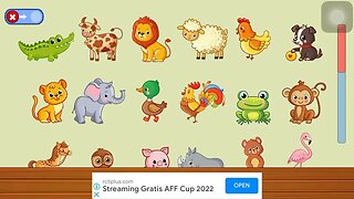 GamePlay Animal Name