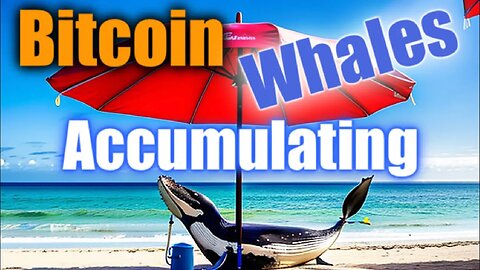 Bitcoin Whales Accumulating