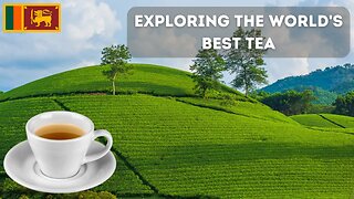 Exploring the World's Best Tea | A Journey to Sri Lanka's Tea Plantations