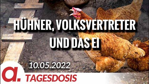 Hühner, Volksvertreter und das Ei