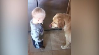 Baby And Dog Share Icing