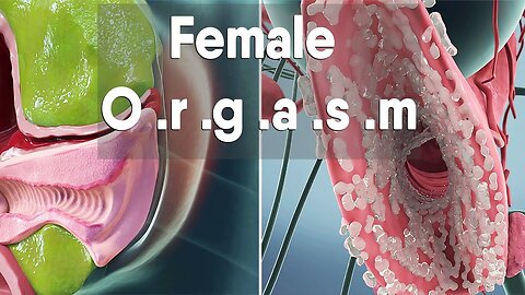 Female Orgasm | Female Anatomy and Biology