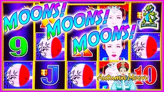 4 MOONS MOONS MOONS! YEAH! QUICK WIN!! Dragon Link Autumn Moon Slot