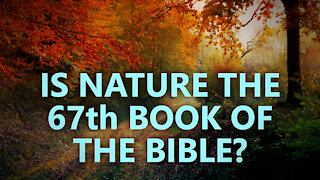 Is nature really the 67th book of the Bible?