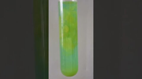 Precipitation of Copper iodide #Shorts