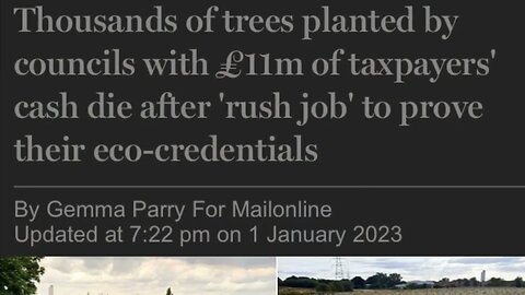 Councils cannot even plant trees correctly