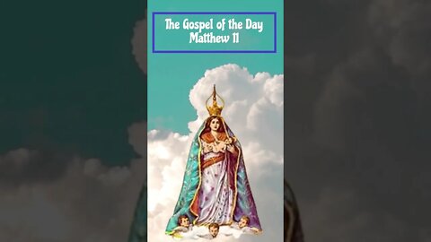 The Gospel of the Day Matthew 11 #shorts