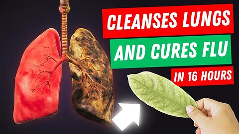This Herb Cleanses The Lungs And Can Cure The Flu In 16 Hours!