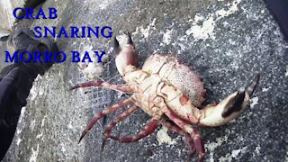 "Dude, I lost my Claw". Crab Snaring at Morro Harbor's South Jetty