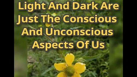 Night Musings # 559 Light & Darkness Are Just The Conscious and Unconscious Aspects Of Us.