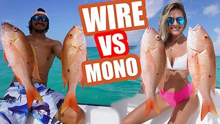 Wire VS Mono Mutton Snapper Fishing Catch and Cook