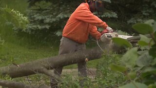 Local tree services facing staffing shortages, struggle with high demand after strong winds