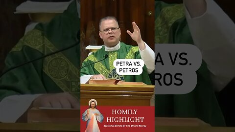 Petra vs Petros #DivineMercy #marianfathers #frchrisalar #homilyhighlight #christian #catholic