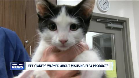 Veterinarians warn pet owners about flea medication