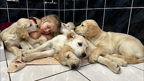 Adorable Little Girl Puts Her Golden Retriever Puppies To Sleep! (Cutest Ever!!)