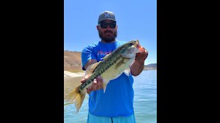 ❗️lake record spotted bass❗️(explicit language!)