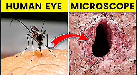 12 Things You Can See Only Under Microscope | Amazing Facts