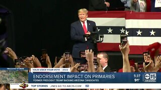 Endorsement impact on primaries