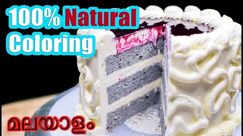 വായിൽ കൊതിയൂറും Blue Velvet Cake| കളർ ഇല്ലാതെയും Blue Velvet നമുക്ക് ഉണ്ടാക്കാം Use NATURAL coloring