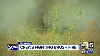 Firefighters letting Glendale brush fire burn itself out