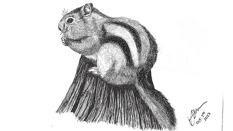 Drawing a Chipmunk in Ink on Watercolor Paper