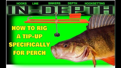 In-Depth: A Look At Line, Hooks, Sinkers, Hook Setting & Depth. Specifically For PERCH!