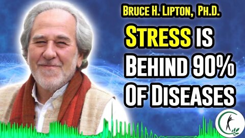 Bruce Lipton, Ph.D: Stress Causes Diseases In 90% Of Cases