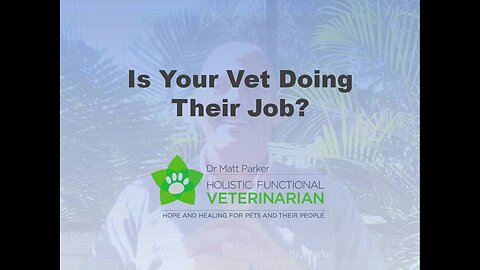 Is Your Vet Doing Their Job?