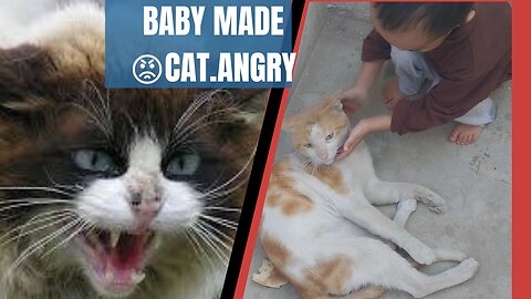 Cat become angry 😡 and frustrated on two naughty childs