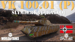 VK 100.01 (P) - SlyMeerkat [HAKOO]