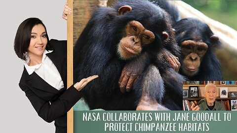 Exploring the Connection: NASA Collaborates with Jane Goodall to Protect Chimpanzee Habitats