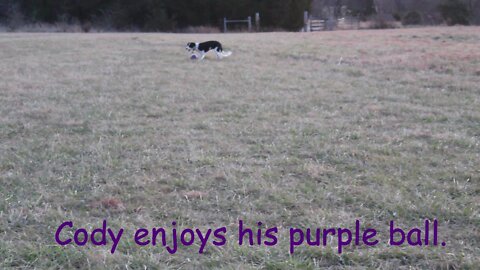 Cody's Purple Ball