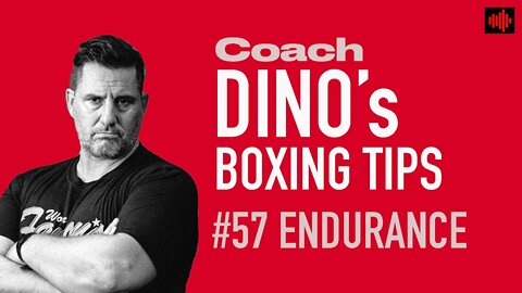 DINO'S BOXING TIP OF THE WEEK #57 ENDURANCE