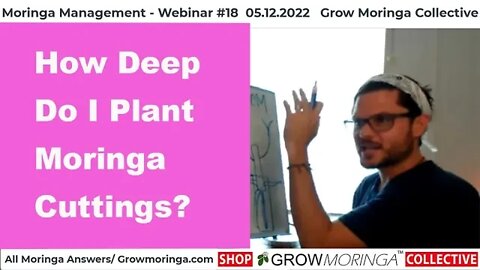 How Deep Do I Plant Moringa Cuttings?