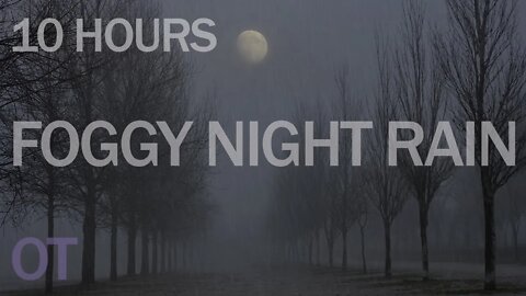 RAIN on a moonlit foggy night | Relax/ Sleep/ Study | 10 hours nature sounds| relaxation/ meditation