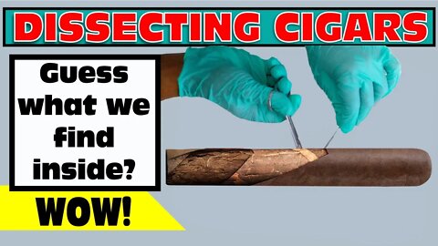 Dissecting Cigars - Guess What We Find Inside!