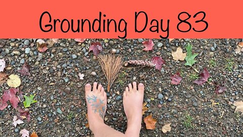 Grounding Day 83 - leaves are falling