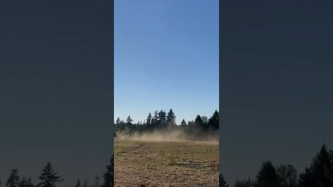 Watch what is causing the dust cloud #blackbeauty #horses #funny