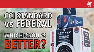 CCI Standard vs Federal Auto Match: 22LR ammo test
